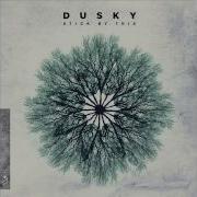 Dusky Falling