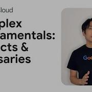 Dataplex Fundamentals Aspects Glossaries