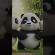 Pofuduk Panda Uykuda Shorts Panda Sevimlihayvanlar Pofidikdostlar