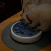 New Toy Scratch Pad With Catnip