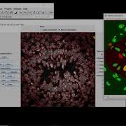 Annotater Tutorial Batch Processing