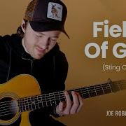Fields Of Gold Joe Robinson Sting Cover