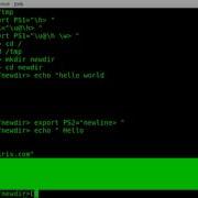 Modifying Interactive Command Prompt With PS1 And PS2 BASH Linux