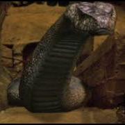 Python Python 2 2002 Sound Effects