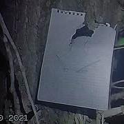 PROJECT Mz FILE 001 FOREST Mov
