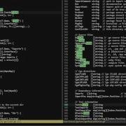 VIM Rules