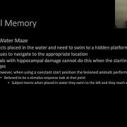 PSY210 CH13PT3 Spatial Memory