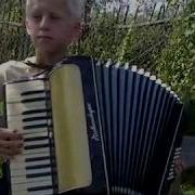 Вячеслав Хахалкин Семечки Колян аккордеон DJ Slava Mook