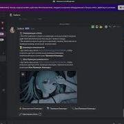 RAID BOT TUTORIAL HOW TO DESTROY ANY SERVER