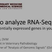 How To Analyze RNA Seq Data Find Differentially Expressed Genes In Your Research
