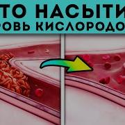 Это на 100 лучше чем таблетки Как улучшить состояние крови и насытить кровь кислородом если
