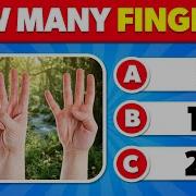 50 Questions Everyone Should Know General Knowledge Quiz