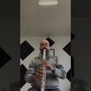 Öner Mustul Sezen Aksu Begonvil Klarnet
