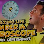 Amazing Life Under A MICROSCOPE For Kids How Does A Microscope Work Science Experiments