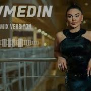 Şəbnəm Tovuzlu Sevmədin REMIX