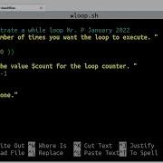 Creating A While Loop Using Bash