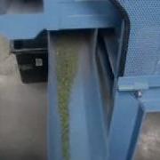 Herb Processing Line Parsley Flv