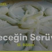 Peynir Yiyeceğin Serüveni TRT Belgesel
