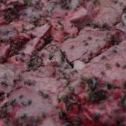 Flies Ravaging Pakistan S Street Markets