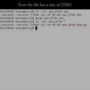 Linux Command Gzip