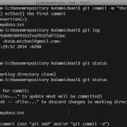 The Git Checkout Master Command