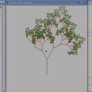 Fractal Tree Python Turtle Graphics