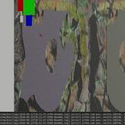 Raycast 2d Notworking