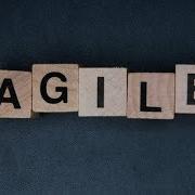 Lecture 12 Agile Operate Team