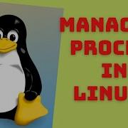 How To Manage Processes In Linux Using Ps Nice Renice And Kill Ps Elf Kill Nice Renice