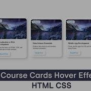 Course Cards Hover Effect HTML CSS Amanselfcoder