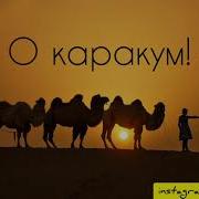 Заур Магамедов Идёт караван из ирана Текс Lyrics Душистый план