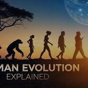 The Complete Timeline Of Human Evolution Explained