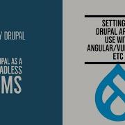 How To Setup Drupal As A Headless CMS For Use With React Angular VUE