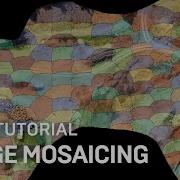 RealityCapture Tutorial Image Mosaicing