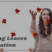 Pure CSS Falling Leaves Animation Effects Css Animation Effect Tutorial