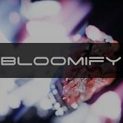 Ridinium Bloomify Showcase