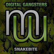 Snakebite Original Mix