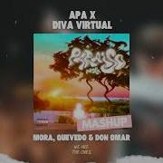 Mora Quevedo Don Omar APA X Diva Virtual The Ones MashUp