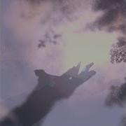 Embrace