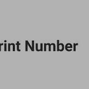 Java Program To Print An Integer Number Java Practical Interview Question 01