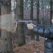 44 AUTOMAG 44 MAGNUM 16X Slow Motion