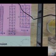 Bridges 4 Unit 1 Module 2 Session 2