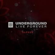 ID ULF024