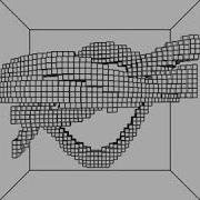 File Noise Draw By OpenFrameworks