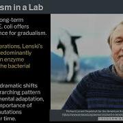 7 Human Behavioral Biology Behavioral Genetics 1 By Robert Sapolsky