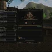 New Auto Augment System Interface Essence L2Eigis