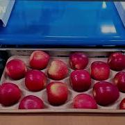Reemoon Apple AI Sorting Equipment Fully Upgraded