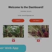 Golang Fiber Secure Upload Image