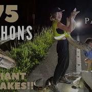 Hunting Pythons For 40 Nights In A Row Part 3