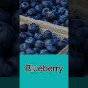 High Speed Flash Card Fruits Heguru Shichida Right Brain Stimulation Training